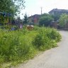 00157 Купить участок в Солманово, участок Одинцовский район, 15.5 соток с садовыми деревьями.